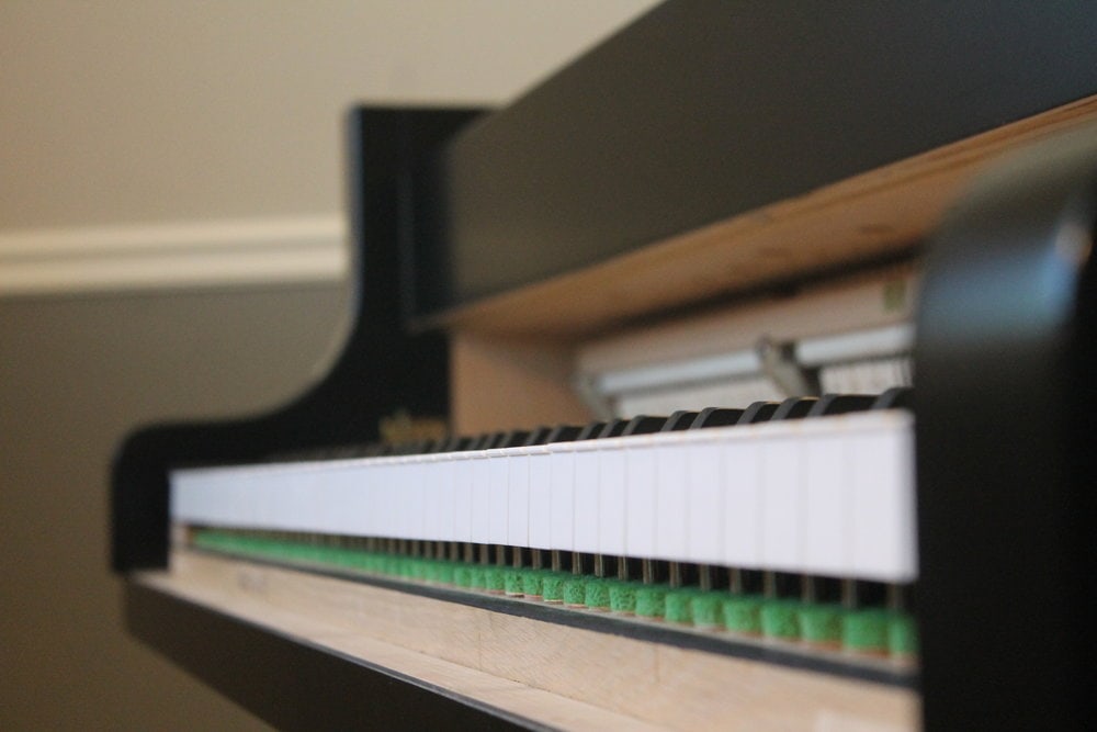  Eyeballing the white key leveling. It's important not just for how the piano feels but for aesthetic reasons, as it's a part of the playing mechanism that is visible. 